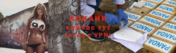 гидра Балахна