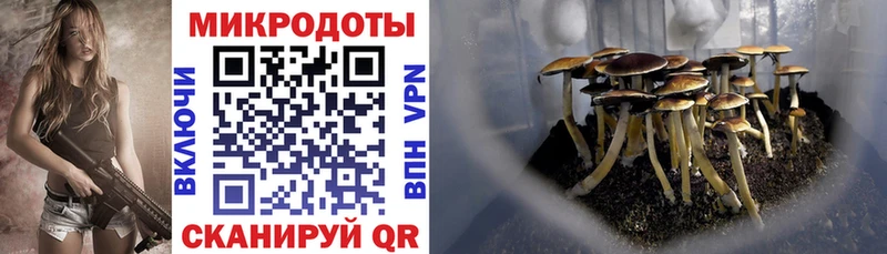 Галлюциногенные грибы мухоморы mega рабочий сайт Новокубанск